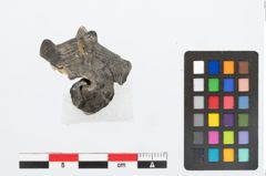 Foto von Meeresschneckengehäuse (NHMW-PRAE-025447)